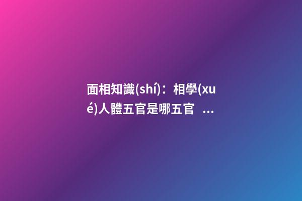 面相知識(shí)：相學(xué)人體五官是哪五官？